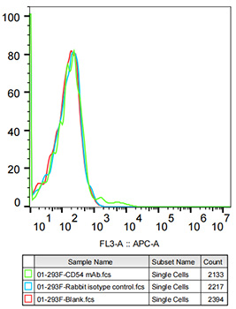 ICAM-1/CD54 Rabbit monoclonal antibody