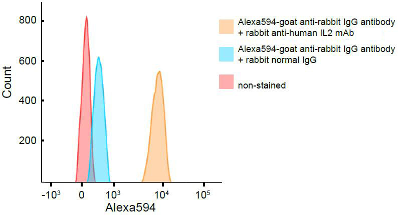 IL2 Rabbit monoclonal antibody