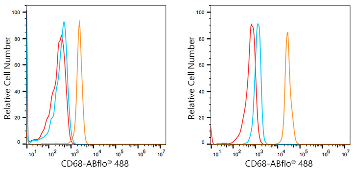 CD68 Rabbit monoclonal antibody