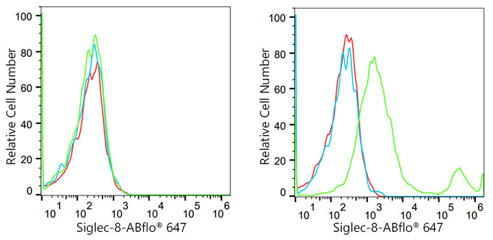 Siglec-8 Rabbit monoclonal antibody