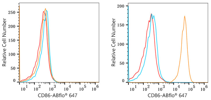 CD86 Rabbit monoclonal antibody