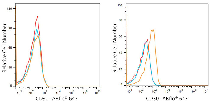 CD30 Rabbit monoclonal antibody
