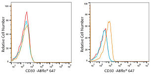 Immunohistochemistry - CD30 Rabbit mAb (A21230)