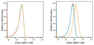 Flow CytoMetry - ABflo® 488 Rabbit anti-Human CD64 mAb (A21939)