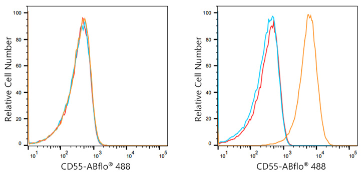 ABflo® 488 Rabbit anti-Human CD55 mAb