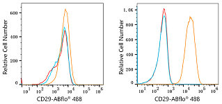 Flow CytoMetry - ABflo® 488 Rabbit anti-Human Integrin-β1/CD29 mAb (A22191)