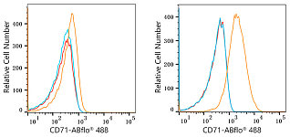 Flow CytoMetry - ABflo® 488 Rabbit anti-Human CD71 mAb (A22301)