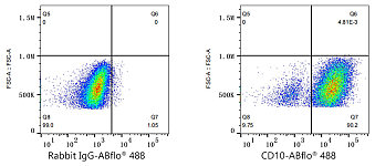 Flow CytoMetry - ABflo® 488 Rabbit anti-Human CD10 mAb (A22306)