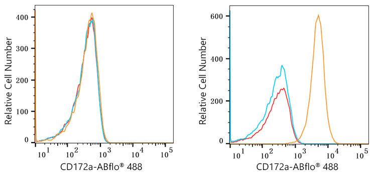 ABflo® 488 Rabbit anti-Human CD172a/SIRPα mAb