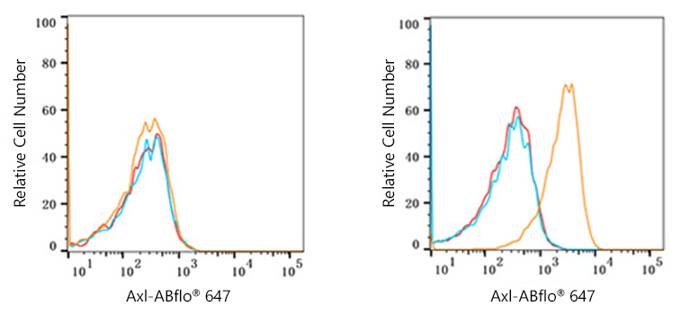 Axl Rabbit monoclonal antibody