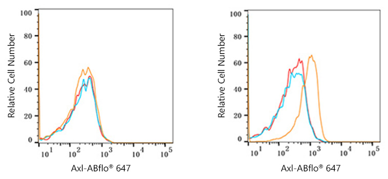 Axl Rabbit monoclonal antibody