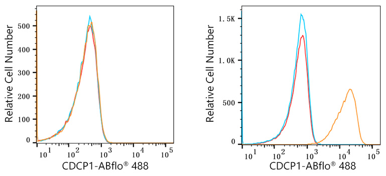 ABflo® 488 Rabbit anti-Human CDCP1 mAb