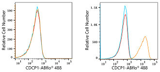 Flow CytoMetry - ABflo® 488 Rabbit anti-Human CDCP1 mAb (A22498)