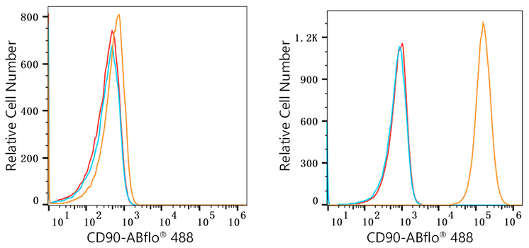 ABflo® 488 Rabbit anti-Human CD90/Thy1 mAb