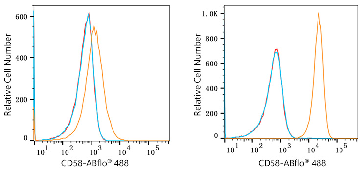 ABflo® 488 Rabbit anti-Human CD58 mAb