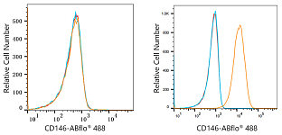 Flow CytoMetry - ABflo® 488 Rabbit anti-Human CD146 mAb (A22520)