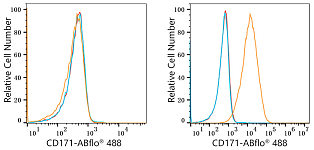 Flow CytoMetry - ABflo® 488 Rabbit anti-Human CD171/L1CAM mAb (A22590)