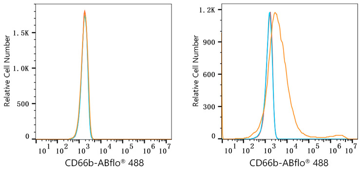 ABflo® 488 Rabbit anti-Human CD66b mAb