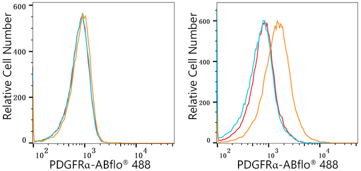 ABflo® 488 Rabbit anti-Human/Mouse PDGFRα/CD140a mAb