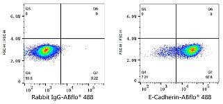 Flow CytoMetry - ABflo® 488 Rabbit anti-Human E-Cadherin/CD324 mAb (A22692)