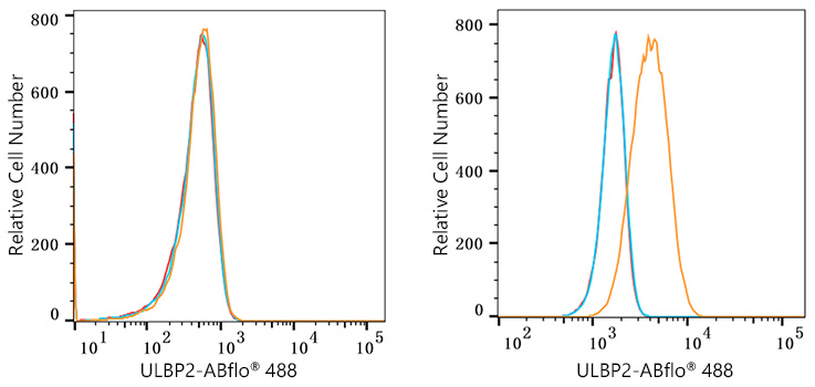 ABflo® 488 Rabbit anti-Human ULBP2 mAb