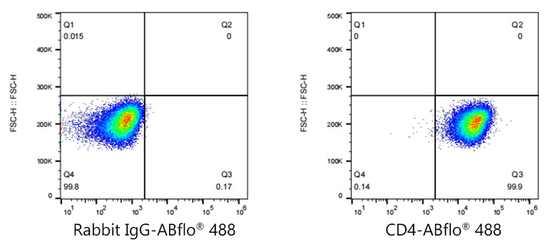 ABflo[R] 488 Rabbit anti-Human/Monkey CD4 monoclonal antibody