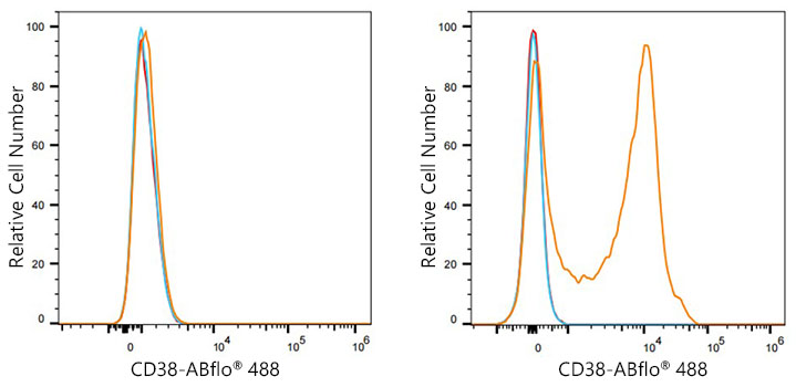 CD38 Rabbit monoclonal antibody