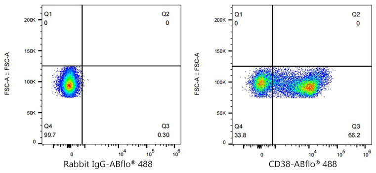 CD38 Rabbit monoclonal antibody