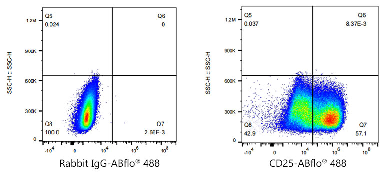 ABflo[R] 488 Rabbit anti-Human/Monkey CD25 monoclonal antibody