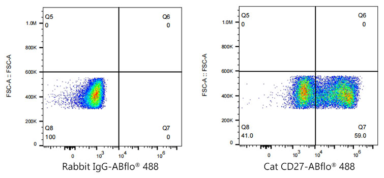 ABflo[R] 488 Rabbit anti-Cat CD27 monoclonal antibody