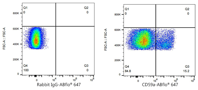 ABflo[R] 647 Rabbit anti-Mouse CD59a monoclonal antibody