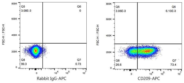 APC Rabbit anti-Human CD209/DC-SIGN monoclonal antibody
