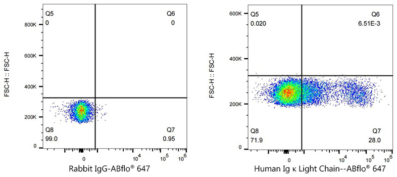 Human Kappa Light Chain Rabbit monoclonal antibody