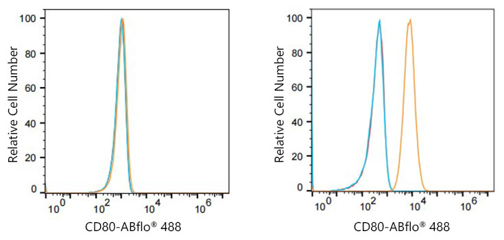 ABflo® 488 Rabbit anti-Human CD80/B7-1 mAb