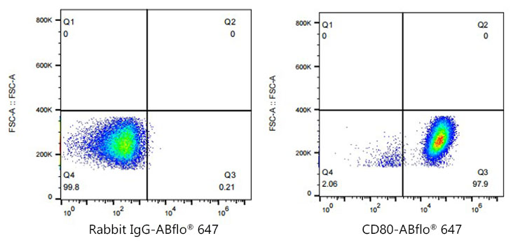 ABflo[R] 647 Rabbit anti-Human CD80/B7-1 monoclonal antibody