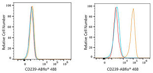 Flow CytoMetry - ABflo® 488 Rabbit anti-Human CD239/BCAM mAb (A23744)