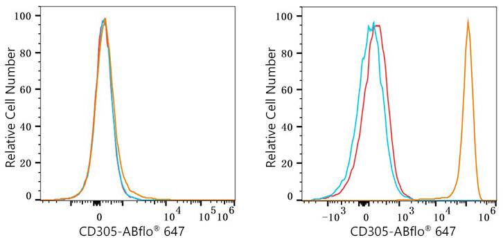 CD305/LAIR1 Rabbit monoclonal antibody