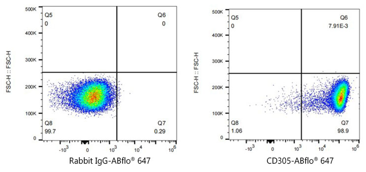 CD305/LAIR1 Rabbit monoclonal antibody