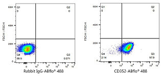 Flow CytoMetry - ABflo® 488 Rabbit anti-Human CD352/SLAMF6 mAb (A23798)