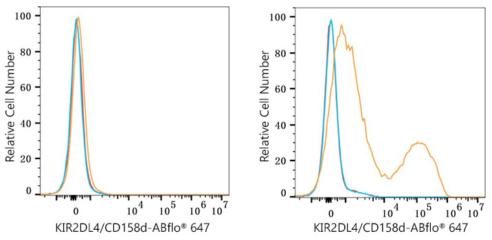 KIR2DL4 Rabbit monoclonal antibody