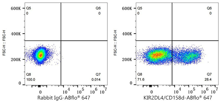 KIR2DL4 Rabbit monoclonal antibody
