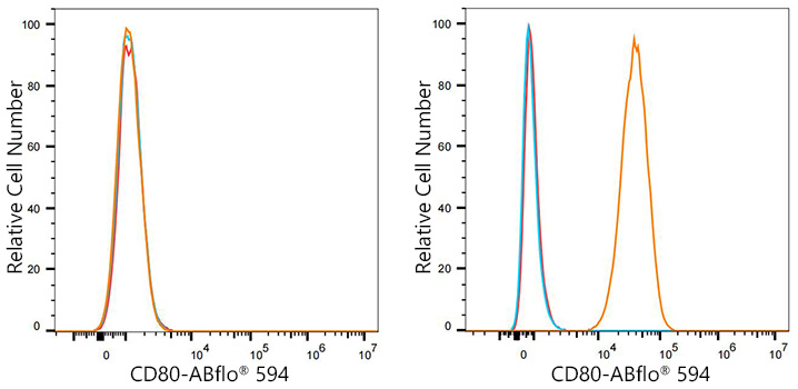 ABflo[R] 594 Rabbit anti-Mouse CD80/B7-1 monoclonal antibody