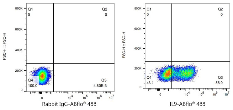 IL9 Rabbit monoclonal antibody