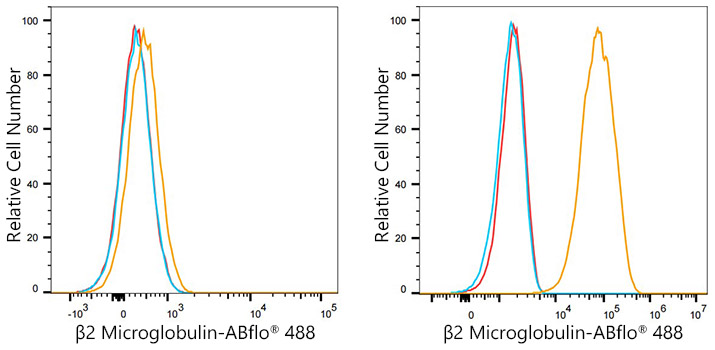 ABflo® 488 Rabbit anti-Human β2 Microglobulin mAb