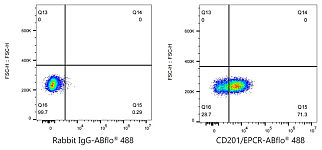 Flow CytoMetry - ABflo® 488 Rabbit anti-Human CD201/EPCR mAb (A24226)