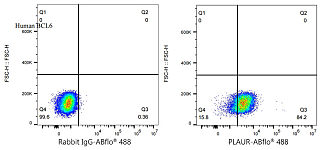 Flow CytoMetry - ABflo® 488 Rabbit anti-Human CD87/PLAUR mAb (A24230)