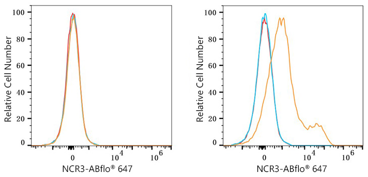 NCR3 Rabbit monoclonal antibody