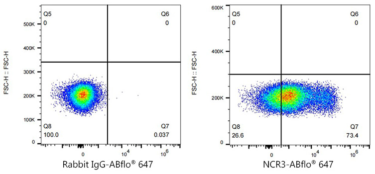 NCR3 Rabbit monoclonal antibody
