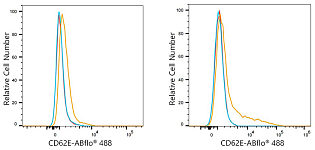 Flow CytoMetry - ABflo® 488 Rabbit anti-Human CD62E/E-Selectin mAb (A24308)