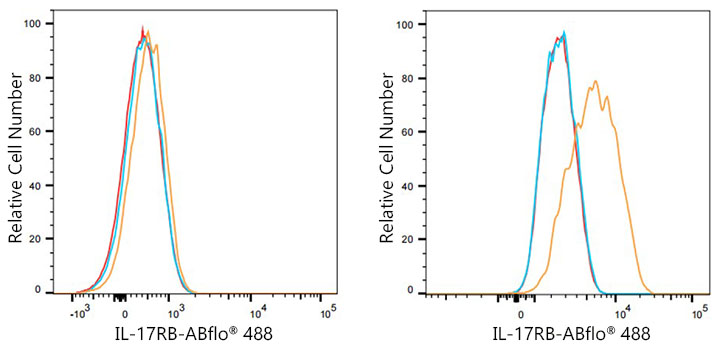 ABflo® 488 Rabbit anti-Human IL-17RB mAb